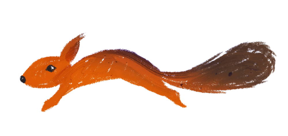 Animation of  a red squirrel running